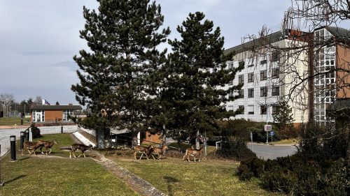WELLNESS POBYT NA KRČSKÉM ZÁMKU V PRAZE (15.-16. 3.)