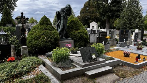 VÝLET NA ZÁMEK JAROMĚŘICE NAD ROKYTNOU (2. 8.)