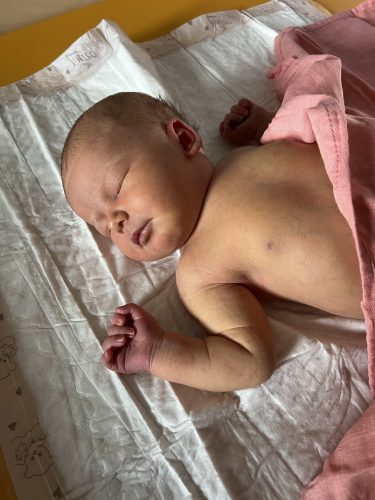 STELLINKA POPRVÉ U PANÍ DOKTORKY KOŘÁNOVÉ (19. 9.)