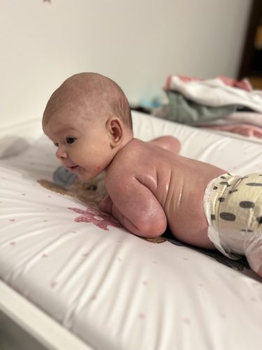STELLINKA POPRVÉ ZVEDÁ HLAVIČKU (19. 11.)