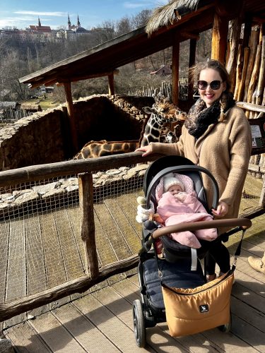 VÝLET DO ZOO V JIHLAVĚ (16. 2.)