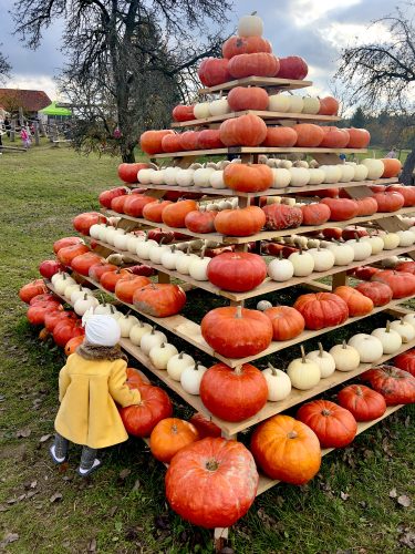 VÝLET DO DÝŇOVÉHO SVĚTA (29. 10.)