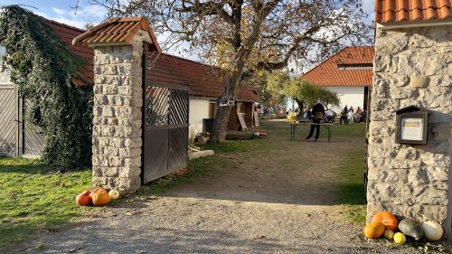 VÝLET DO DÝŇOVÉHO SVĚTA (29. 10.)