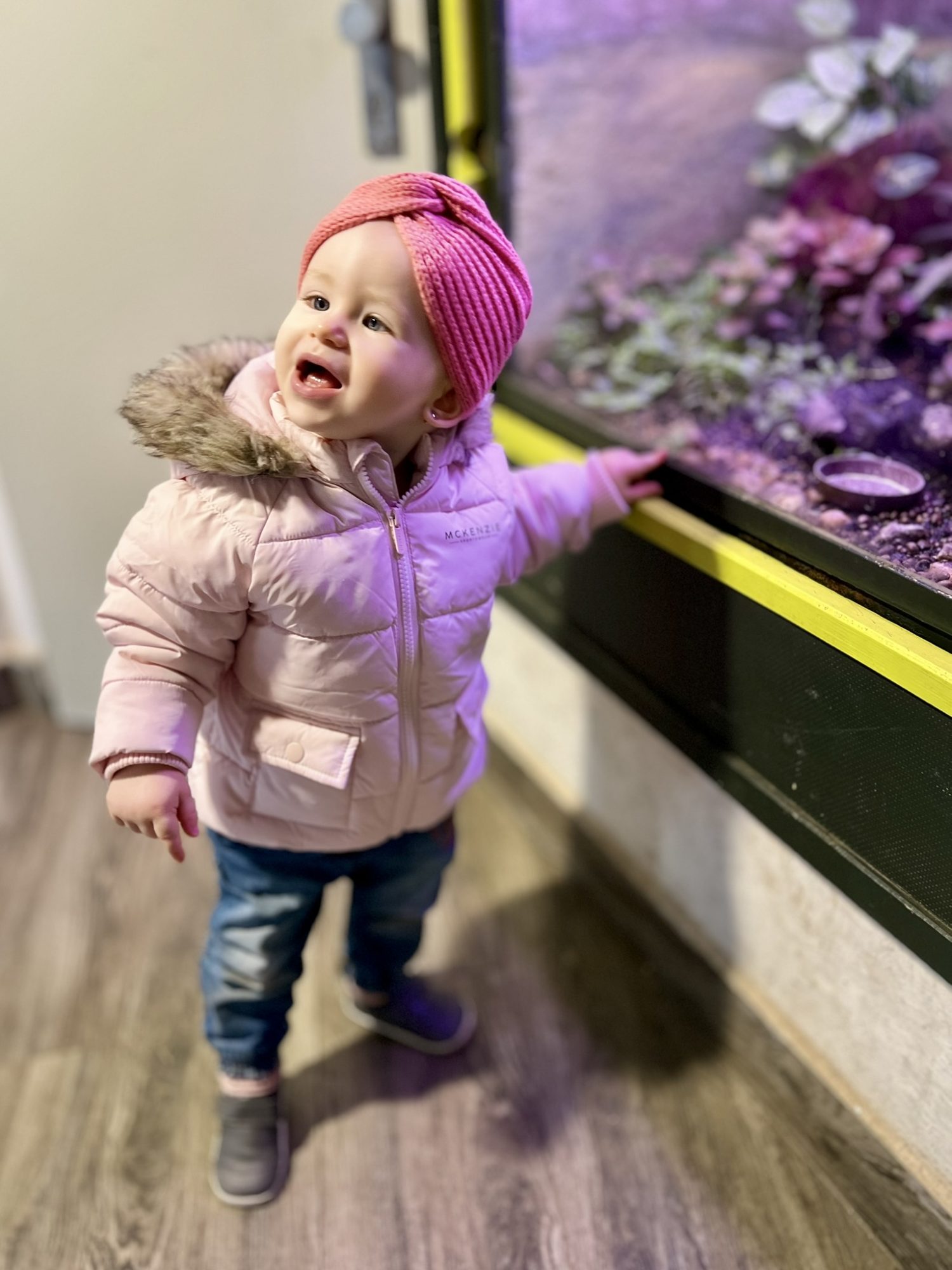 VÝLET DO ZOO V JIHLAVĚ (5. 3.)