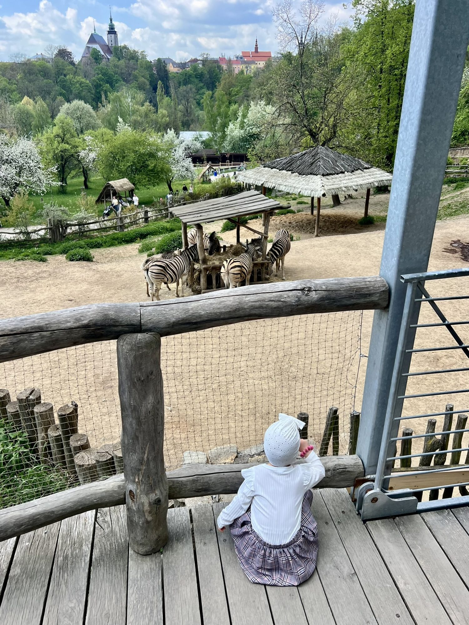 VÝLET DO ZOO V JIHLAVĚ (1. 5.)