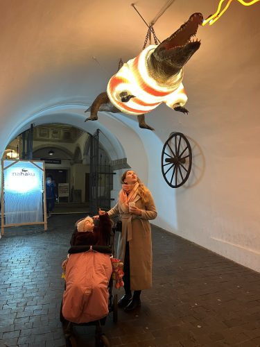 ADVENTNÍ TRHY V BRNĚ (1. 12.)