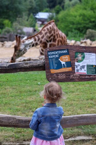 VÝLET DO ZOO JIHLAVA (22. 7.)