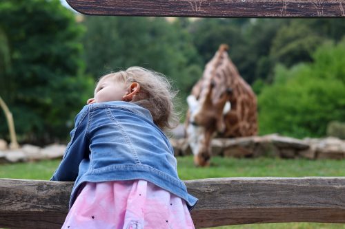VÝLET DO ZOO JIHLAVA (22. 7.)