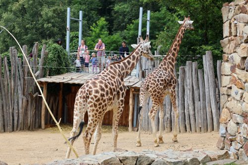 VÝLET DO ZOO JIHLAVA (22. 7.)
