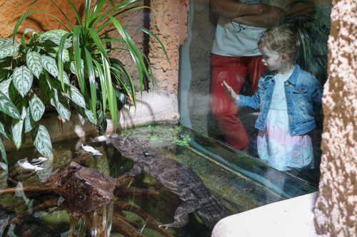 VÝLET DO ZOO JIHLAVA (22. 7.)