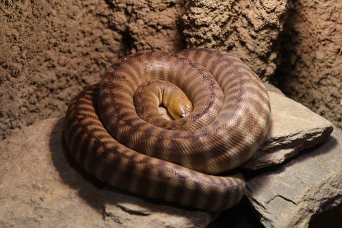 VÝLET DO ZOO JIHLAVA (22. 7.)