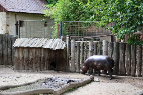 VÝLET DO ZOO JIHLAVA (22. 7.)