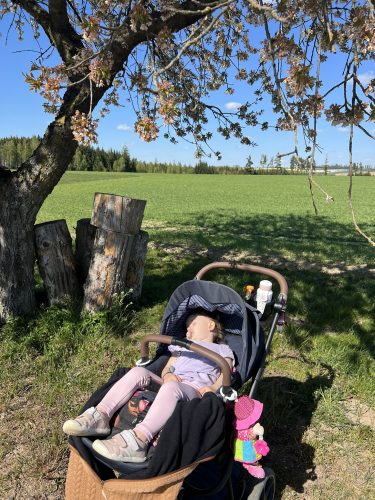 PRVNÍ MÁJ U SVATÉ ANNY (1. 5.)