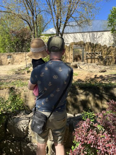 ZOO DVŮR KRÁLOVÉ NAD LABEM (2. 5.)