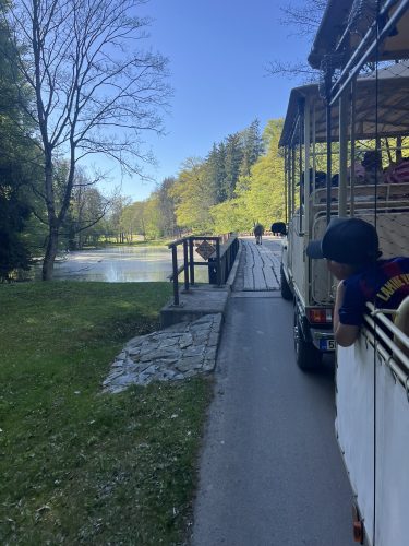 ZOO DVŮR KRÁLOVÉ NAD LABEM (2. 5.)