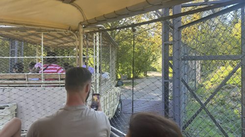 ZOO DVŮR KRÁLOVÉ NAD LABEM (2. 5.)
