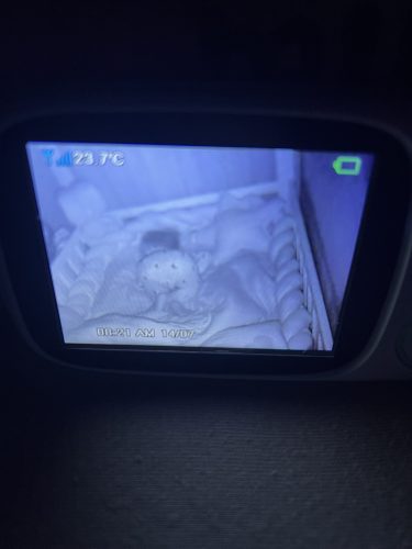 STELLINKA A JEJÍ PRAZVLÁŠTNÍ SPACÍ POLOHA (10. 5.)