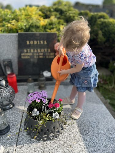 STELLINKA ZALÉVÁ KYTIČKY NA HŘBITOVĚ V KRÁSNÉ HOŘE (19. 5.)