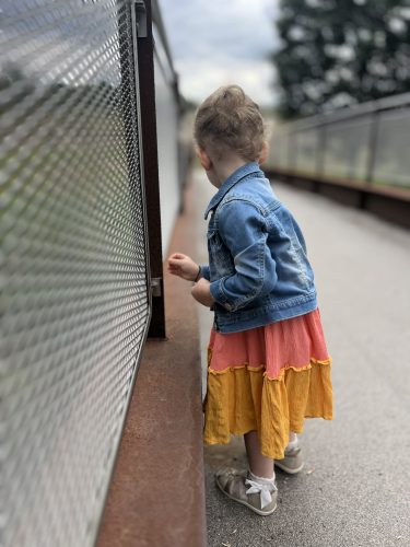NÁVŠTĚVA BABICKÉ LÁVKY U PŘÍLEŽITOSTI VÝROČÍ 8 LET OD SVATBY (18. 8.)
